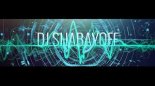 Ice Mc Ft Nico Heinz & Max Kuhn - Do The Dip (DJ SHABAYOFF RMX)