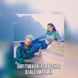 SOFI TUKKER - Purple Hat (DJ AlexM Remix)