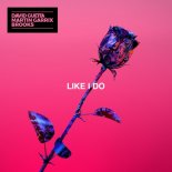David Guetta, Martin Garrix & Brooks - Like I Do (Rodrigo Project Remix)