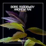 Boris Roodbwoy, Andrew Rai - Get Whipped (Original Club Mix)