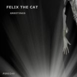 Felix The Cat - Greetings (Greetings (Original Mix)
