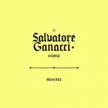 Salvatore Ganacci - Horse (Black V Neck Remix)