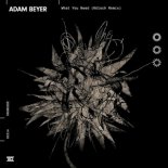 Adam Beyer - What You Need (Kolsch Remix)