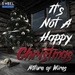 Nature Of Wires - It's Not A Happy Christmas (Radio Edit)