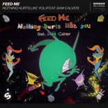 Feed Me feat. Sam Calver - Nothing Hurts Like You