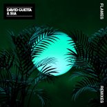 David Guetta & Sia - Flames (Sylvain Armand Extended Remix)