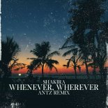 Shakira - Whenever, wherever (ANTZ Remix)