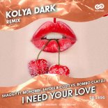 Shaggy feat. Mohombi, Faydee & Costi vs. Bombo Clat Dj - I Need Your Love (Kolya Dark Remix)