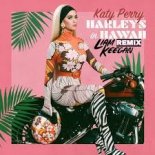 Katy Perry - Harleys In Hawaii (Liam Keegan Remix)