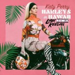 Katy Perry - Harleys In Hawaii (Liam Keegan Radio Edit)