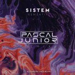 Sistem feat. Alexandra Ungureanu - Senzatii (Pascal Junior Remix)