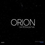 Cali DEDE, Solo Turk - Orion (Original Mix)(melodic house)