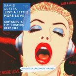 David Guetta, Chris Willis - Just a Little More Love (Gumanev & Tim Cosmos Deep Remix)