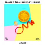 Blanee & Jarah Damiël ft. Mingue - Awake (Original Mix)