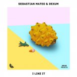 Sebastian Mateo & Dexum - I Like It (Extended Mix)