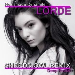 Lorde - Homemade Dynamite (Shreds Owl Remix)