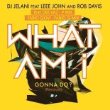 Dj Jelani Feat. Lee John And Rob Davis - What Am I Gonna Do (Leee John & Rob Davis Mix)