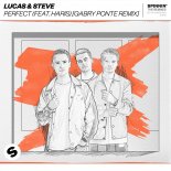 Lucas & Steve, Haris - Perfect (Gabry Ponte Extended Remix)