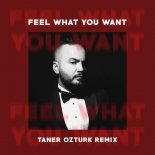 Phonique feat. Rebecca - Feel What You Want  (Taner Ozturk Extended Remix)