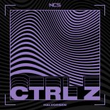Halvorsen - Ctrl Z (Original Mix)
