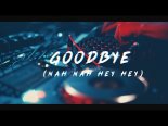 Sunshine State - Goodbye (Nah Nah Hey Hey) 2k20