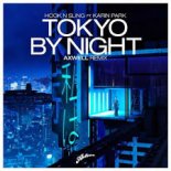 Hook N Sling ft.Karin Park - Tokyo By Night (DJ.Tuch Remix)