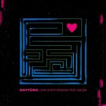Gattüso feat. Salem - Love Is Not Enough (Original Mix)