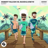 Robert Falcon Vs. Raven & Kreyn - Sunny (Extended Mix)
