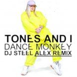 Tones and I - Dance Monkey (Dj Steel Alex Remix) (Radio Edit)