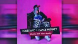Tones And I - Dance Monkey ( Shabba 2k20 Dance Mix Radio Edit )