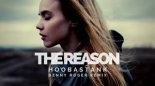 Hoobastank - The Reason (Denny Roger Remix)