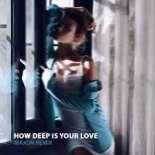 Calvin Harris & Disciples - How Deep Is Your Love (Maxun Remix)