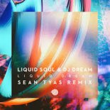 Liquid Soul & DJ Dream - Liquid Dream (Sean Tyas Remix)
