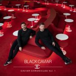 Black Caviar - Mr. Vain (Extended Mix)