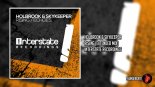 Holbrook & SkyKeeper - Echoes (Extended Mix)