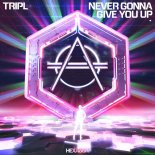 Tripl - Never Gonna Give You Up (Original Mix)