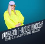 Tones and I - Dance Monkey (Krupa & Alex Work Remix)