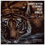 Andrey Keyton & Chunkee feat. Irina Gi - Careless Whisper (Nu Gianni Remix)