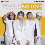 Havana feat Yaar/Kaiia - Big Love (Orbel remix)