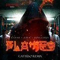R3HAB & ZAYN & Jungleboi - Flames (GATTÜSO Remix)
