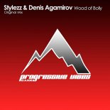 Stylezz & Denis Agamirov - Wood of Bolly (Original Mix)