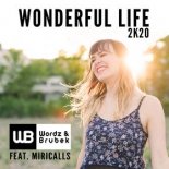Wordz & Brubek feat. Miricalls - Wonderful Life 2K20 (Domero Remix Edit)