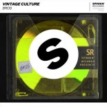 Vintage Culture - Bros (Extended Mix)