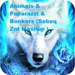 Animals & Paparazzi & Bonkers (Sebeq Znt Mashup )