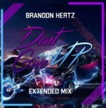 Brandon HertZ - Don\'t Give Up (Original Mix )