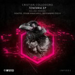 Cristian Collodoro - Acid Enigma (Cesare Minacapilli Remix)