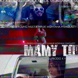 Dj.Frodo feat. Young Multi, Malik Montana & Smolasty - Mamy To!