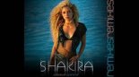 SHAKIRA - Whenever Wherever (DJ SANCHEZZ & DJ INOM RADIO REMIX)