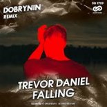 Trevor Daniel - Falling (Dobrynin Remix)