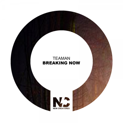 Teaman - Breaking Now (Original Mix)